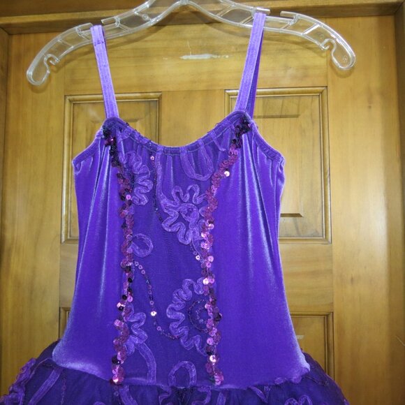 Costume Gallery Purple Ballet Tutu Velvet Sequins Ribbon Flowers Adult Small - Picture 3 of 11